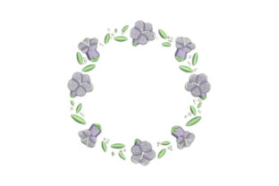 Jacaranda Frame: A Designer's Review for Real Projects